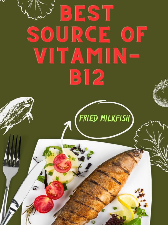 Top Foods That Are High in Vitamin B12