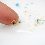 moringa seeds microplastics